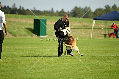 Chako vom Break Even Point