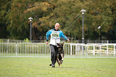 Champ vom Lupus Alpha