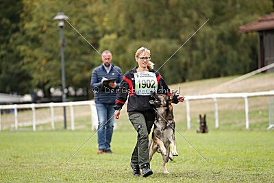 Champ vom Rischebachtal