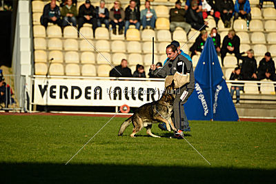 Champ vom Rischebachtal