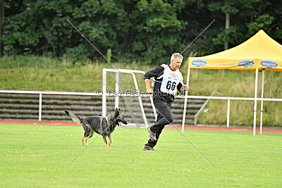 Chapa vom Drachenwolf