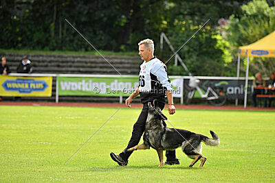 Chapa vom Drachenwolf
