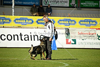 Chapa vom Drachenwolf