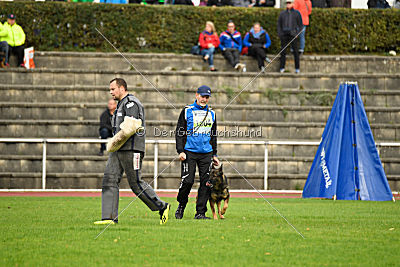 Chicco vom Weinbergblick