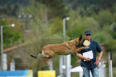 Chicka Force Canina