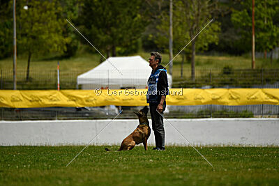Chicka Force Canina