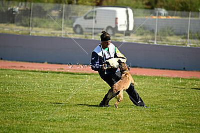 Chicka Force Canina