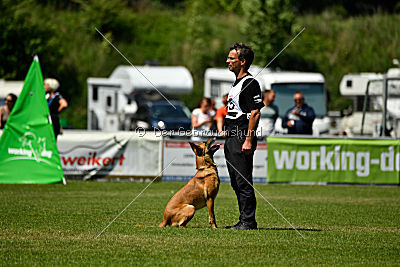 Chilly vom Clan der Wölfe