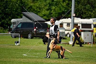 Chilly vom Clan der Wölfe