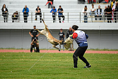 Christie vom Esadera