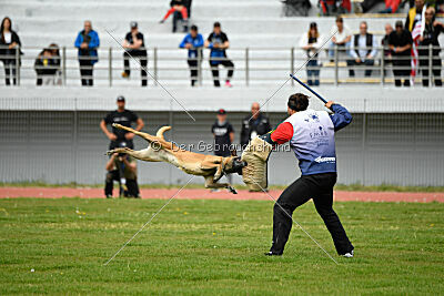 Christie vom Esadera
