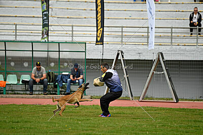 Christie vom Esadera