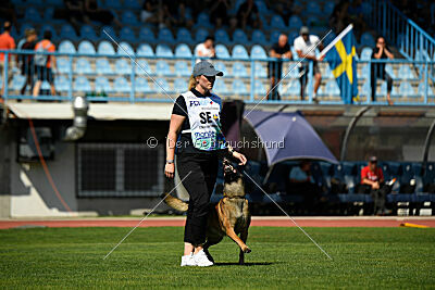 Civan Av Schwarz Engeln