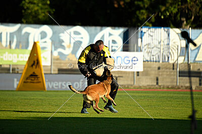 Civan Av Schwarz Engeln