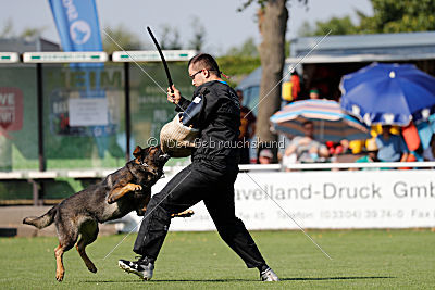 Cliff vom Neuzeller Brunnen