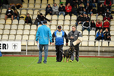 Cliff vom Neuzeller Brunnen