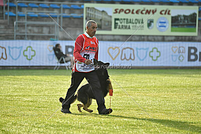 Condor Vikar