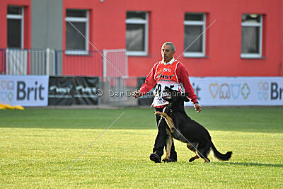 Condor Vikar