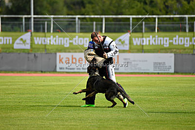 Crack vom langen Elend