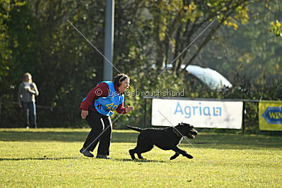 Crash la casa DeCillia
