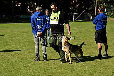 Crazy Canis Invictus