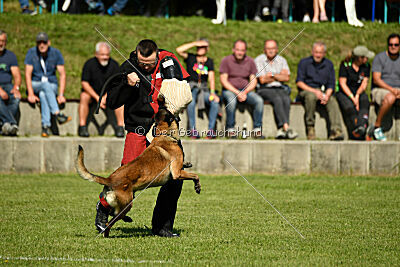 Crocodile z Údolí Jizery