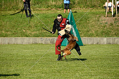 Crocodile z Údolí Jizery