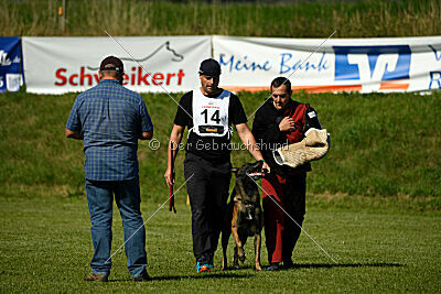 Crocodile z Údolí Jizery