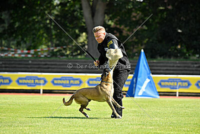 Da Liah Primus Proeliator