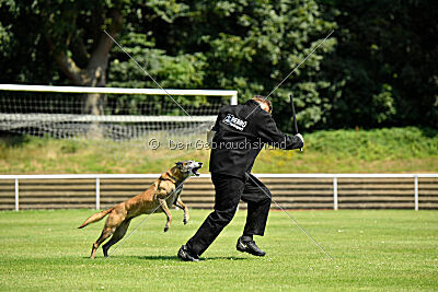 Da Liah Primus Proeliator