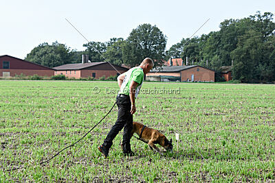 Da Liah Primus Proeliator