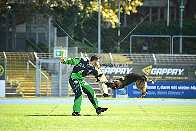 Deifl vom Stadelner Kreuz