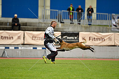 Delia Force Canina