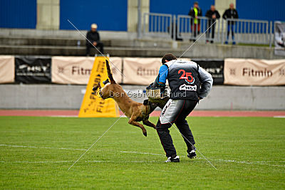 Delia Force Canina
