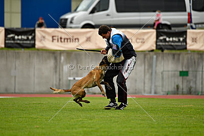 Delia Force Canina