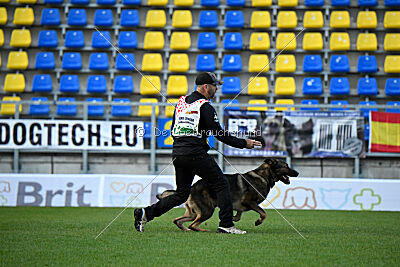 Dewil Moravia Kerberos