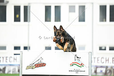 Dewil Moravia Kerberos