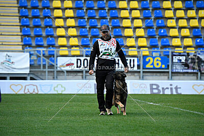 Dewil Moravia Kerberos