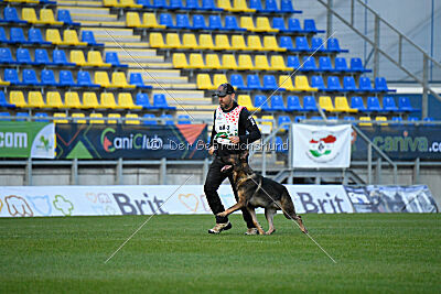 Dewil Moravia Kerberos