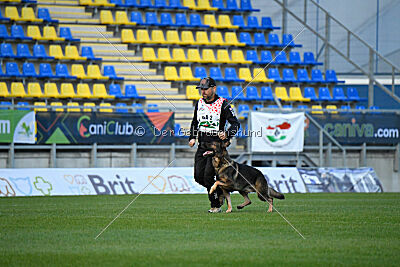 Dewil Moravia Kerberos