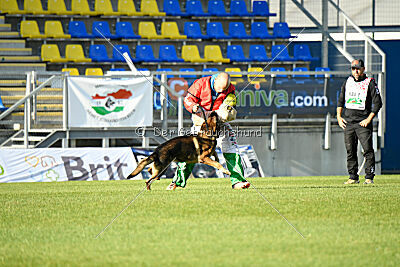 Dewil Moravia Kerberos