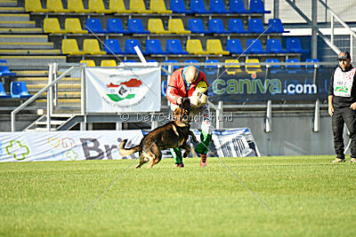 Dewil Moravia Kerberos