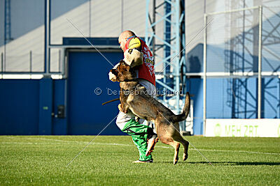 Dewil Moravia Kerberos