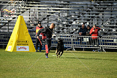 Diego Wolkar