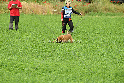 Dixi z Údolí Jizery