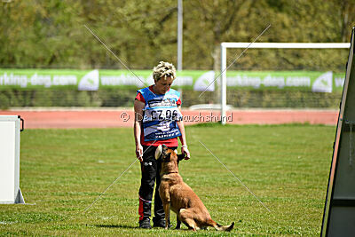 Dixi z Údolí Jizery