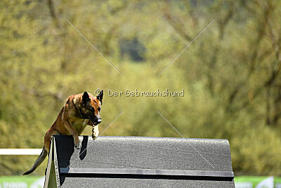 Dixi z Údolí Jizery