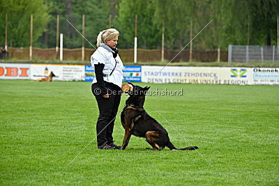 Djego (Schreiner)