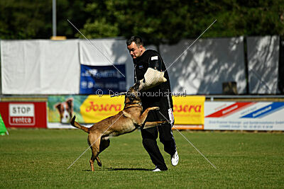 Donar Bestiaras