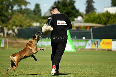 Donar Bestiaras